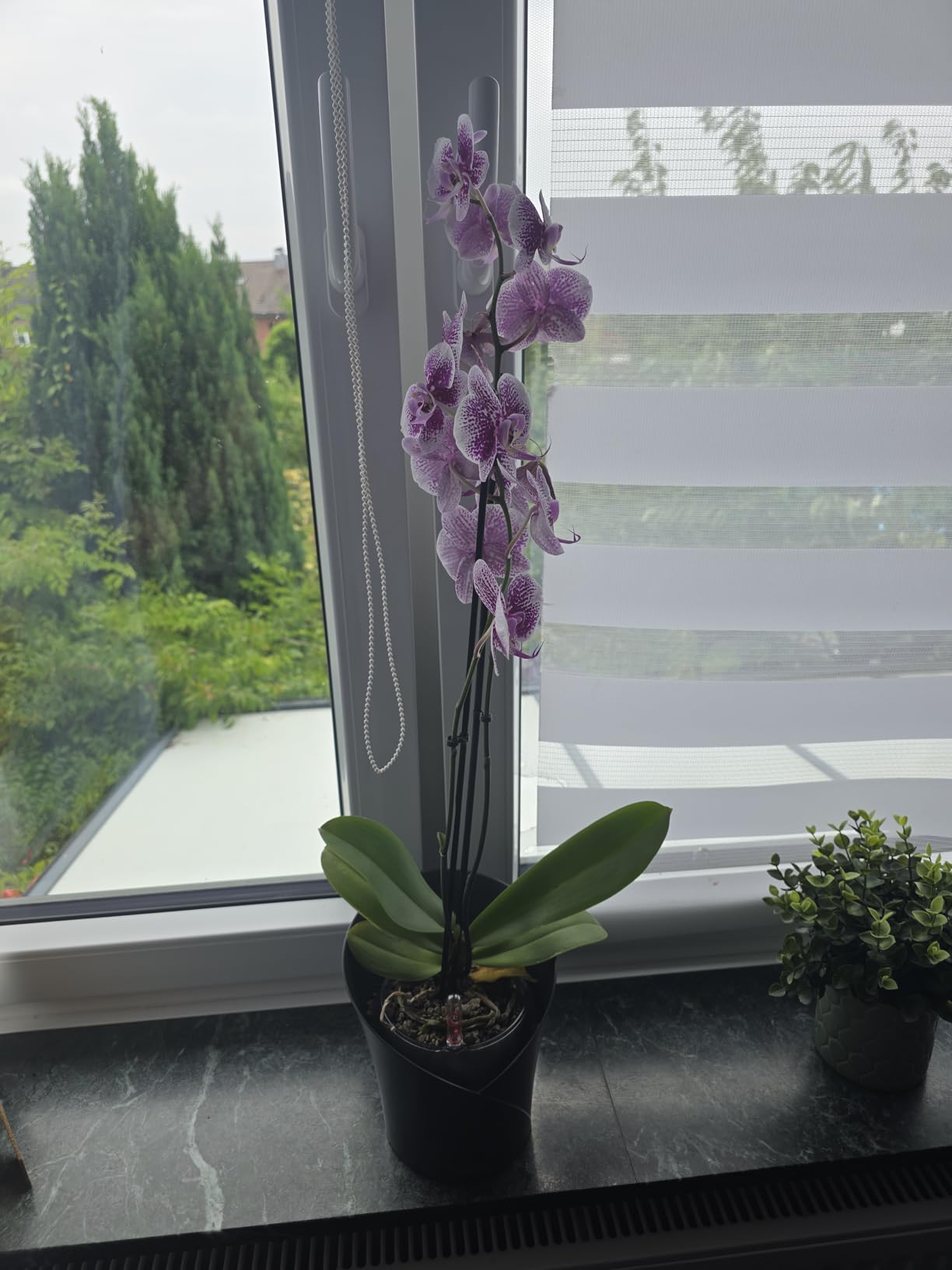 Schlicht und edel