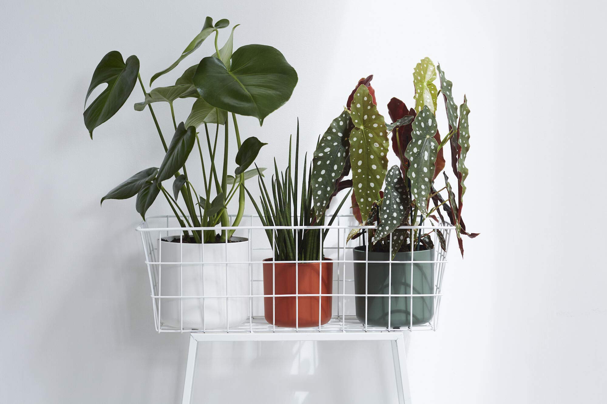 elho-b-for-soft-air-h-nge-blumentopf-18-cm-brique-18-cm image 4