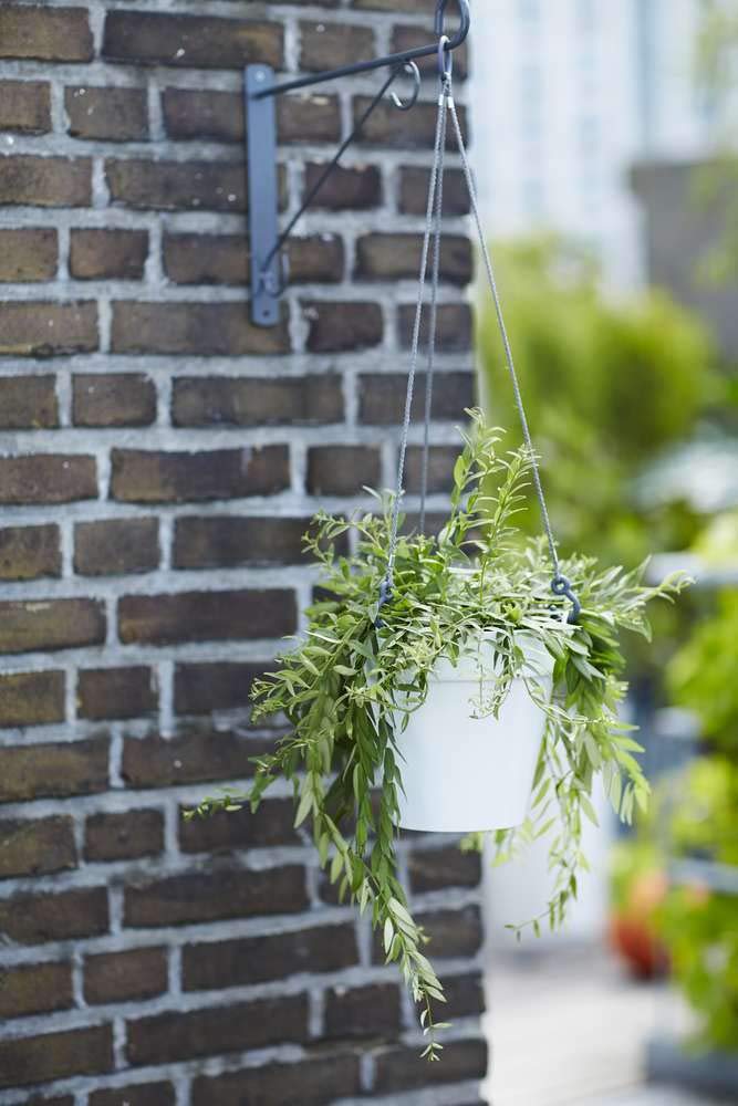 elho-loft-urban-hanging-basket-20-runde-h-ngeampel-19-6-x-h-18-7-cm-wei-mit-wass image 5
