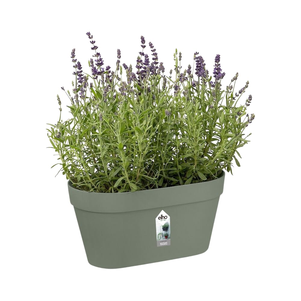 elho-loft-urban-green-wall-duo-28-cm-balkonkasten-pistazien-gr-n image 3