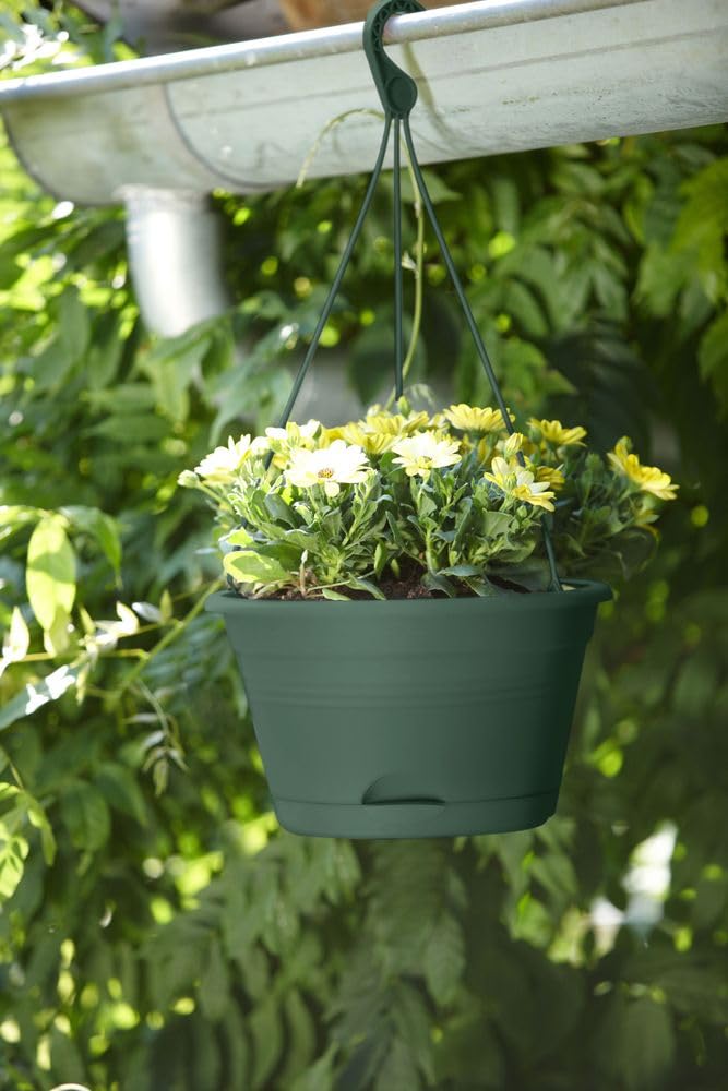 elho-green-basics-h-ngeampel-28cm-balkonkasten-leaf-green image 5