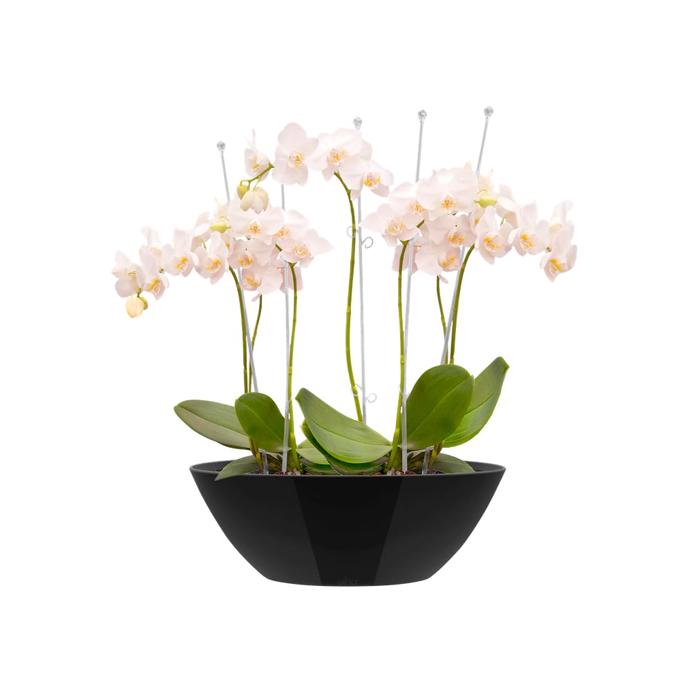 elho-brussels-diamond-oval-20-blumentopf-metallic-schwarz-20-3-cm image 6