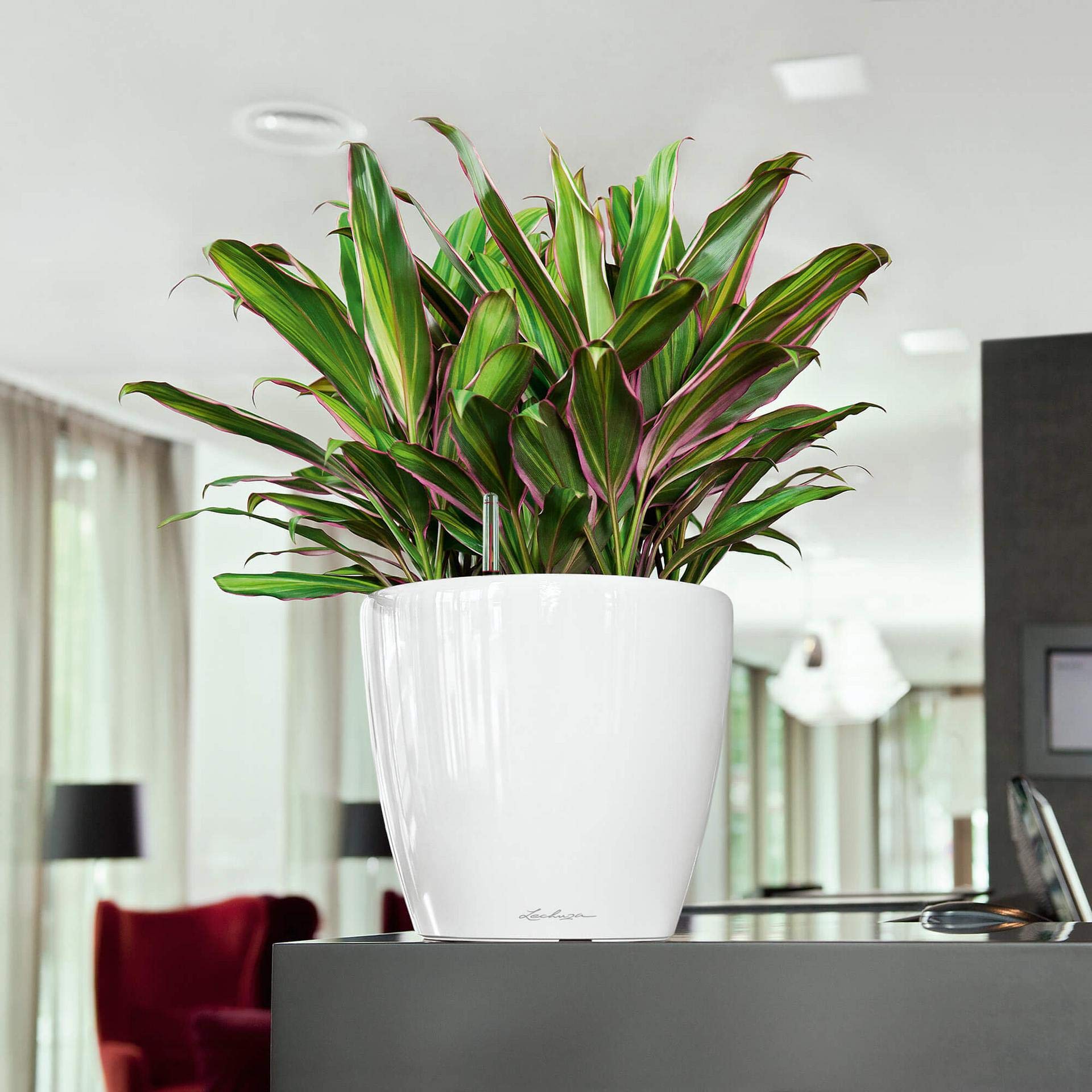 lechuza-classico-premium-ls-28-pflanzgef-mit-bew-sserungssystem-silber-metallic image 3