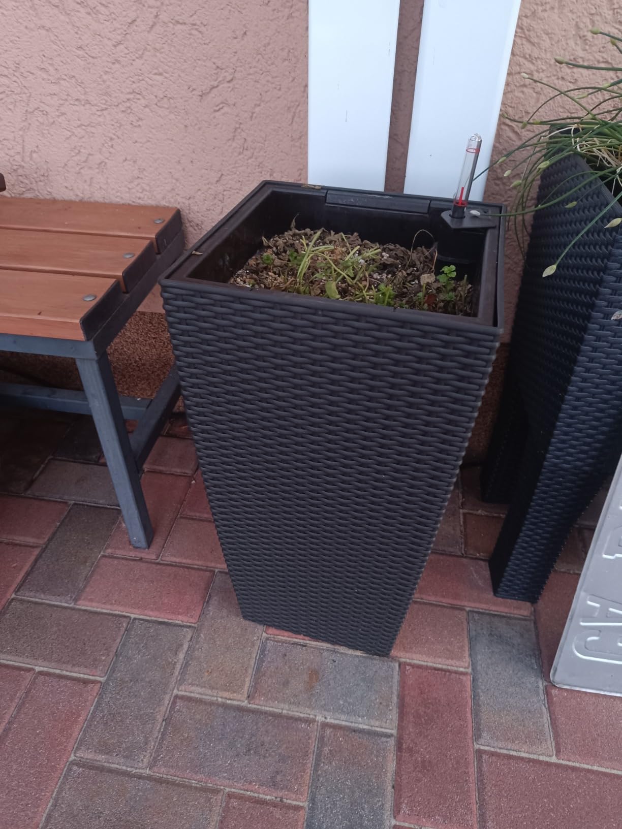 Endlich keine vertrockneten Blumen mehr