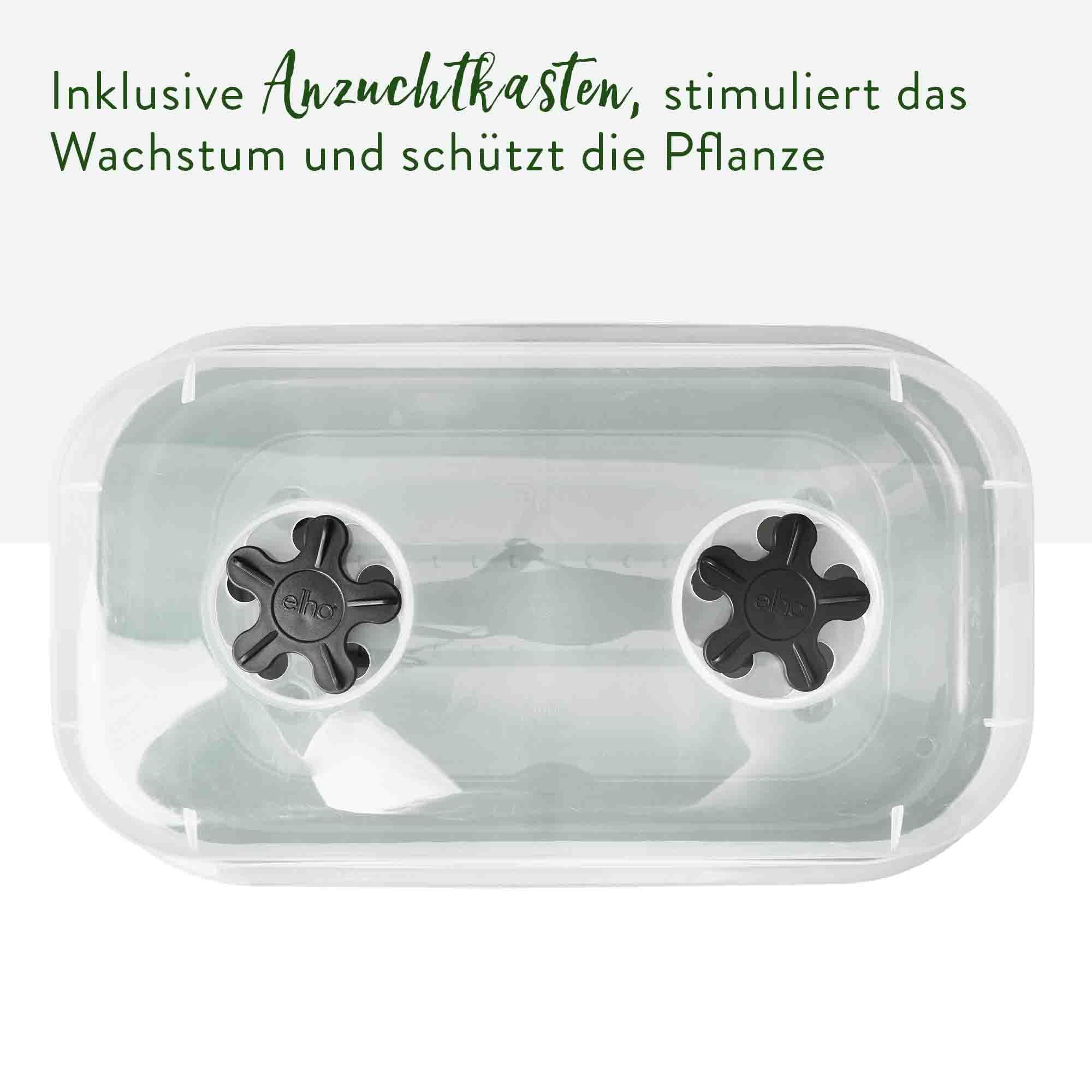 elho-green-basics-anzucht-schale-all-in-1-m-living-schwarz image 4