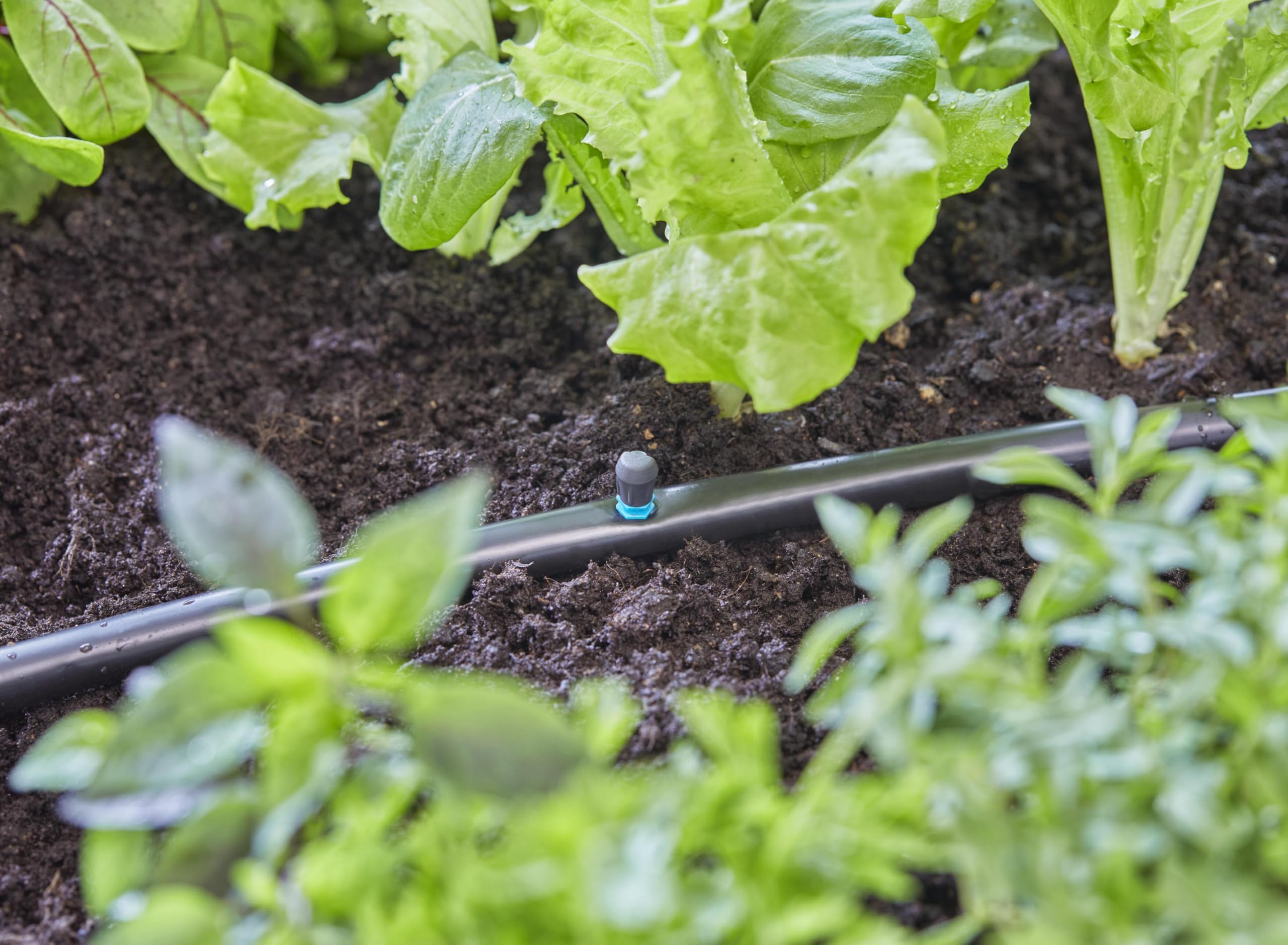 gardena-micro-drip-system-spr-hd-se-90-grad-13320-20-2-5-m-reichweite-5-st-ck image 5