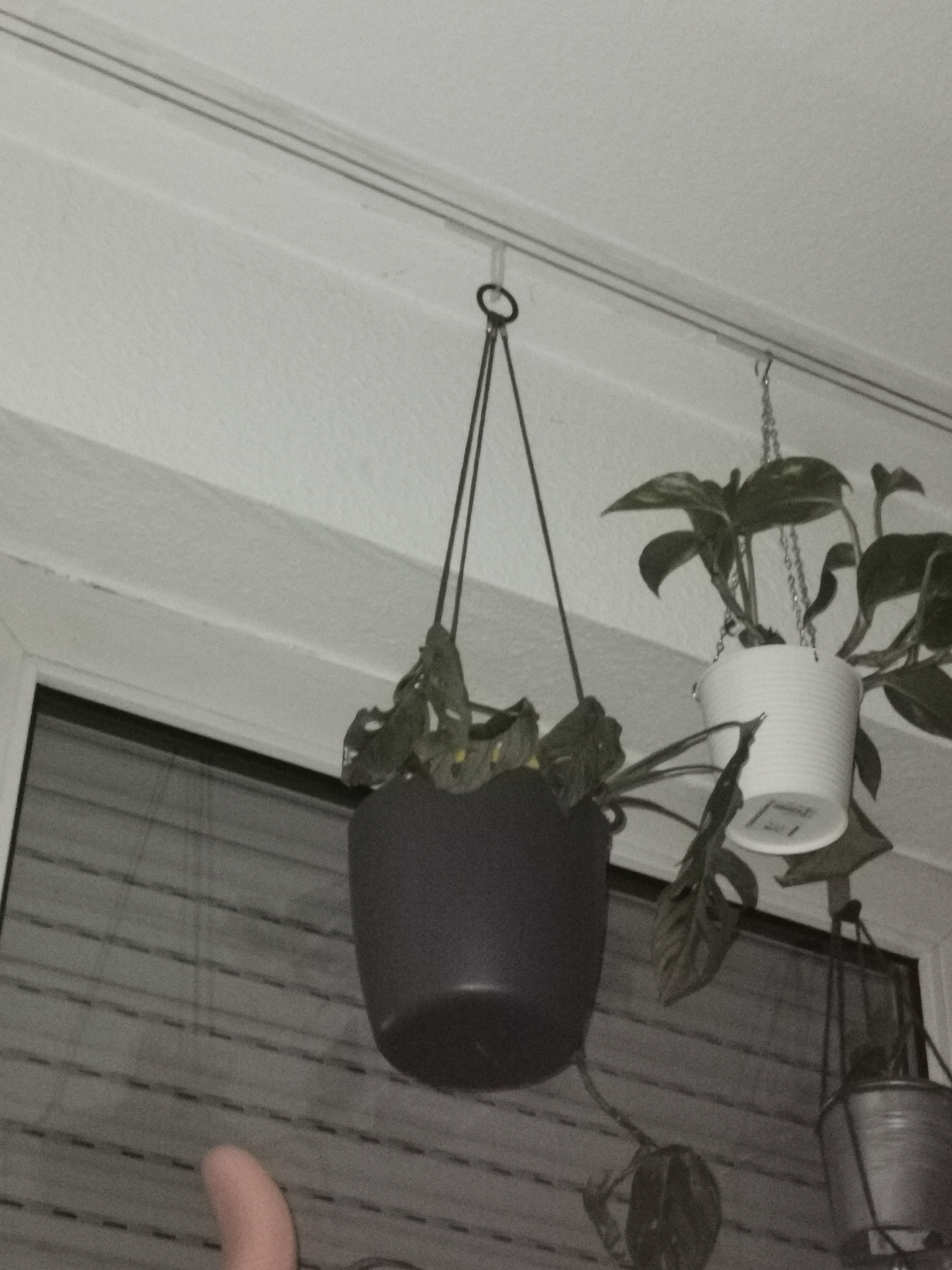 Wunderschön schlicht