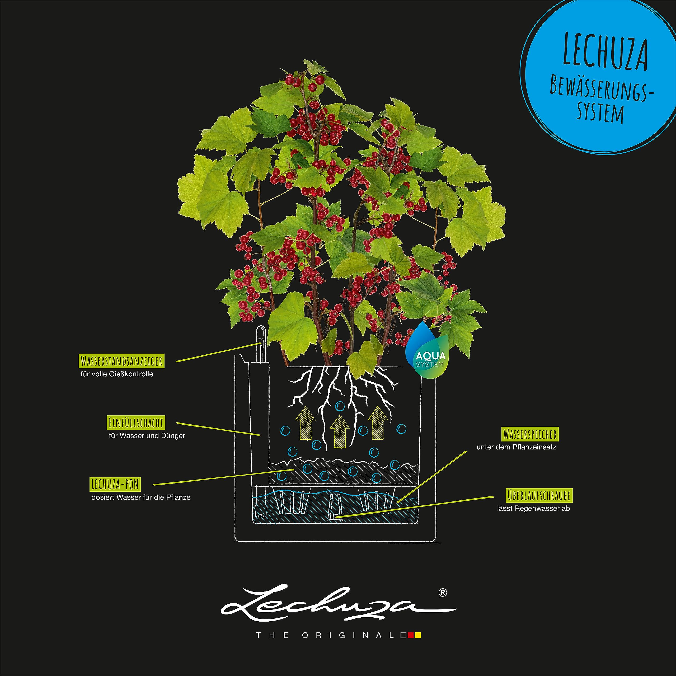 lechuza-pila-color-planter-35-korallrot-35x35x33-cm-mit-bew-sserungssystem image 5