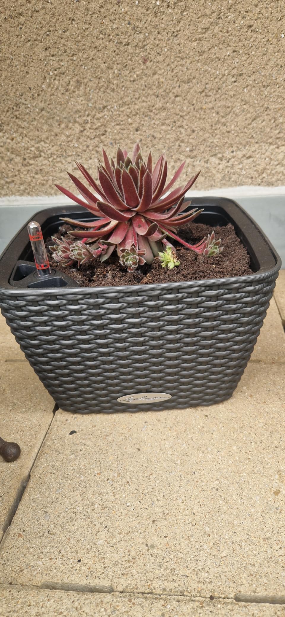 Sieht aus wie echter Rattan