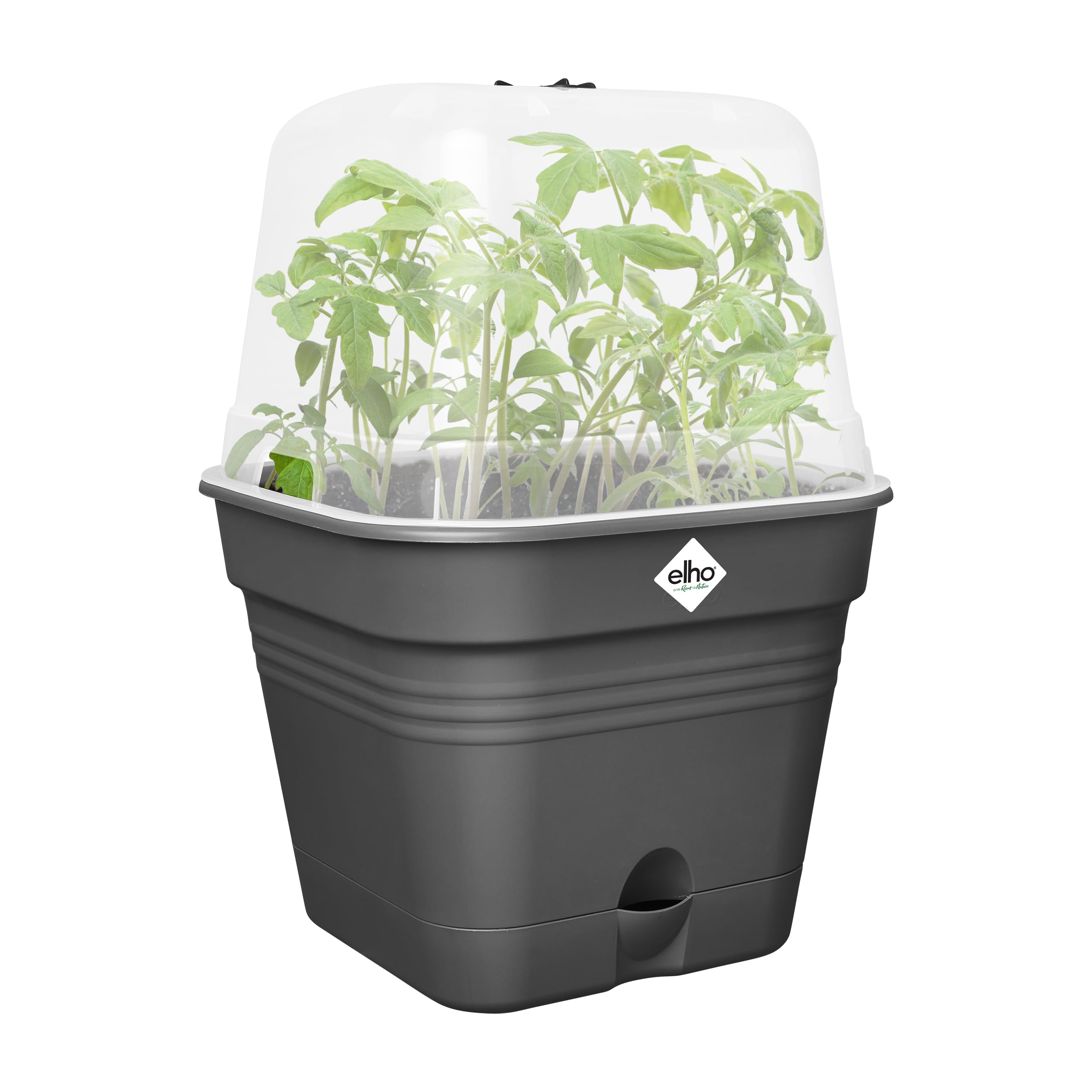 elho-green-basics-anzuchtset-all-in-1-25-cm-living-schwarz-mit-gew-chshaus-und-w image 2