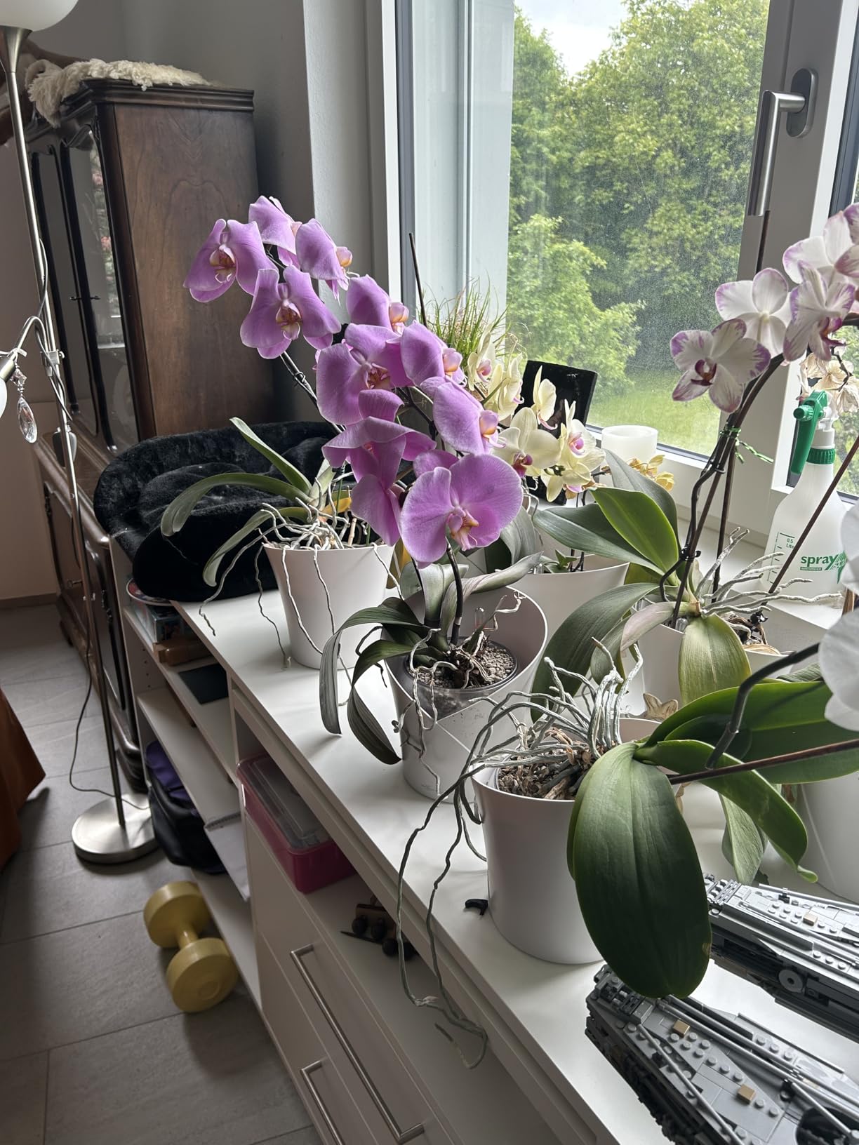 Perfekt für meine Orchideen