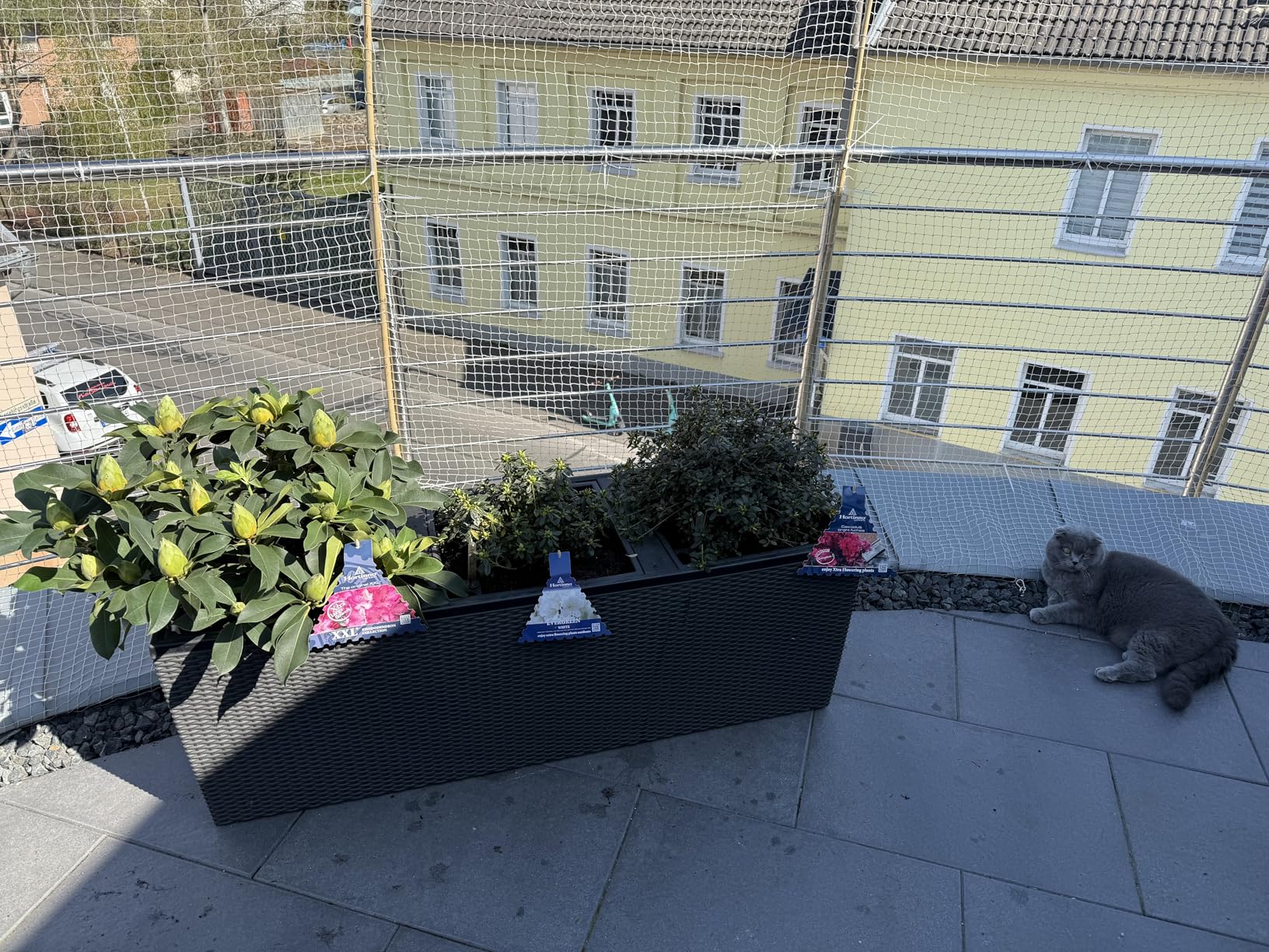 Gut für Balkon mit wenig Platz