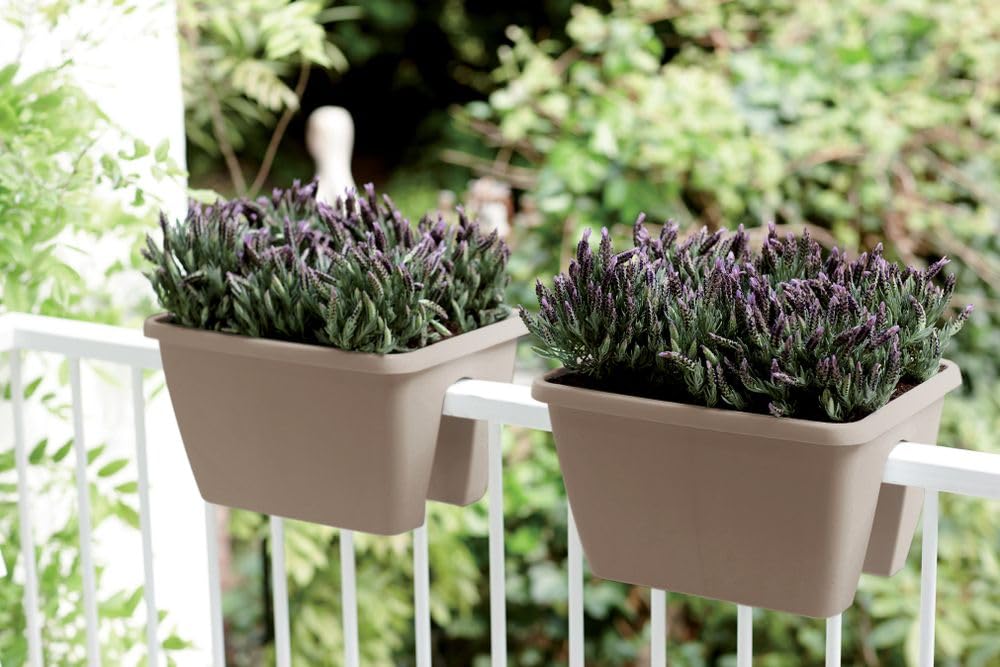 elho-barcelona-flower-bridge-balkonkasten-40-cm-taupe-13-l image 5