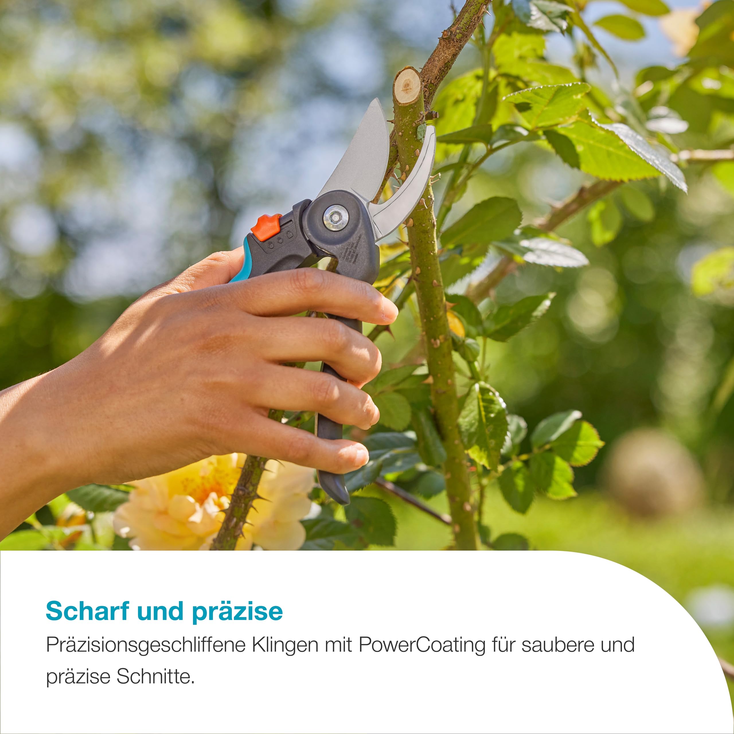 gardena-premiumcut-flex-gartenschere-12242-20-bypass-24-mm image 4