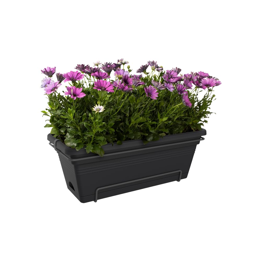 elho-green-basics-balkonkasten-xl-allin1-55-cm-living-schwarz-mit-integriertem-u image 6