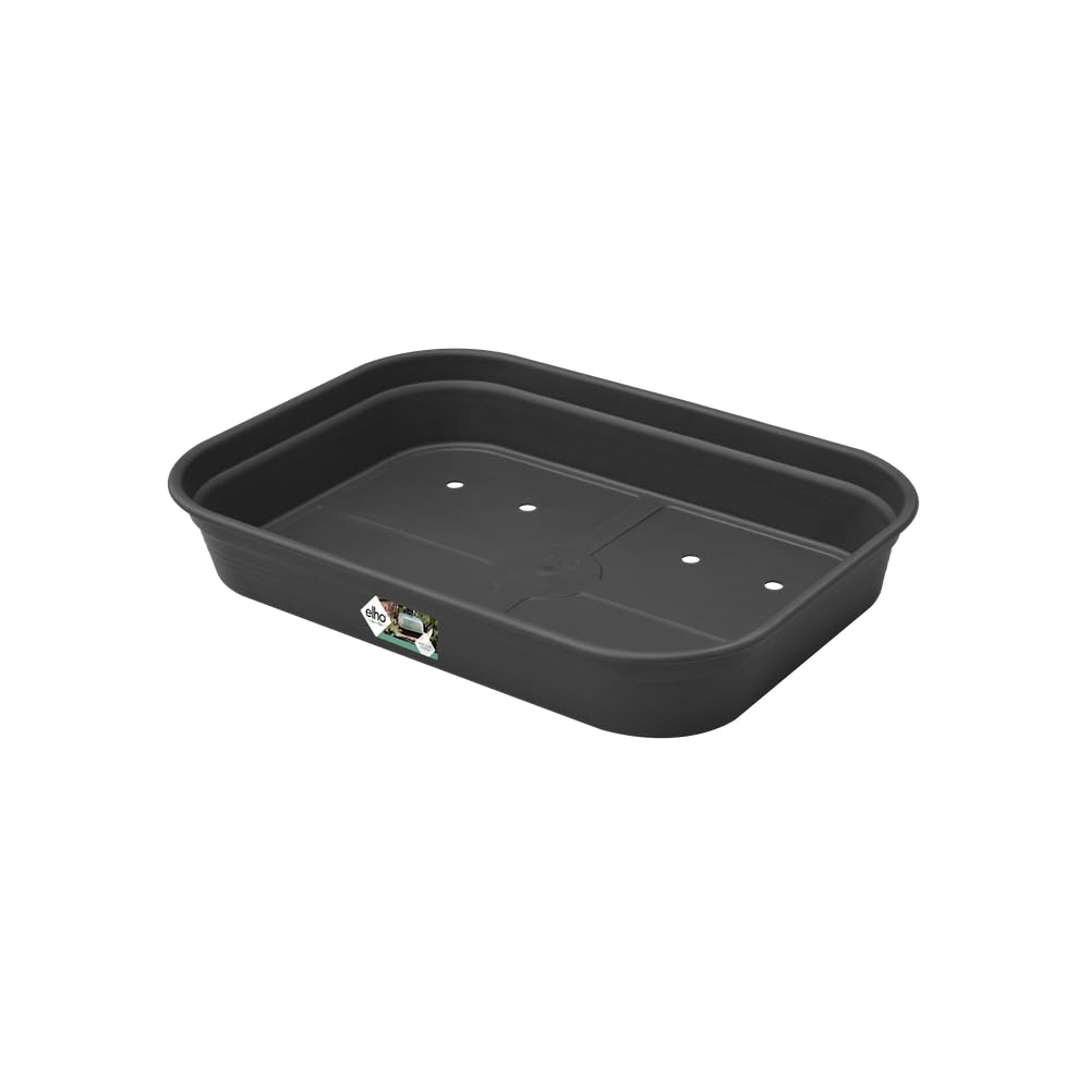 elho-green-basics-anzucht-schale-m-living-schwarz-l-26-5-x-b-36-x-h-6-3-cm image 3