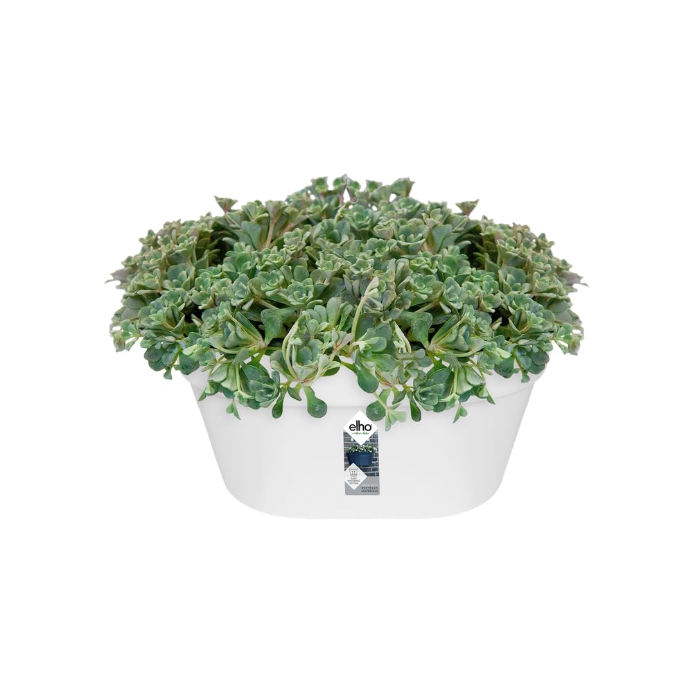 elho-loft-urban-wandampel-40-cm-balkonkasten-wei image 4