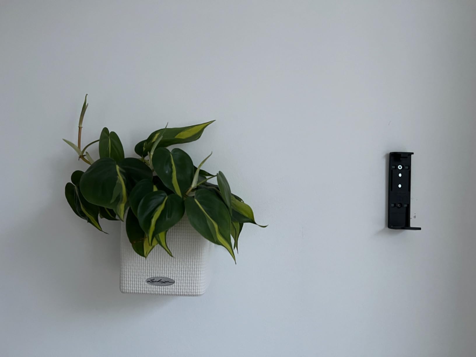 Perfekte Ergänzung zu Cube