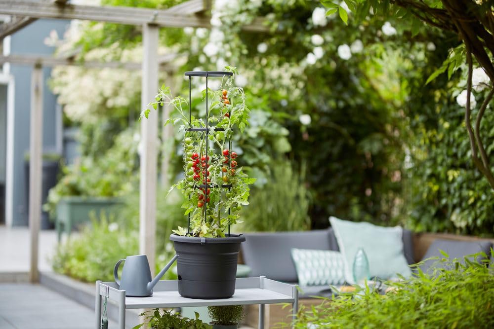 elho-green-basics-tomatentopf-33-cm-mit-gestell-living-schwarz image 7