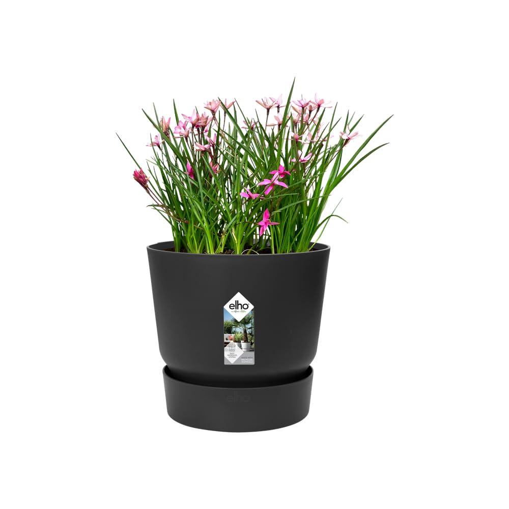 elho-greenville-rund-25-cm-living-schwarz-mit-untersetzer image 3