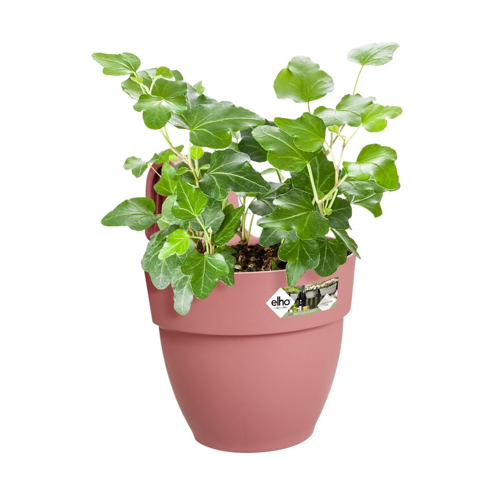 elho-vibia-campana-easy-hanger-small-pflanztopf-puderrosa-l-24-1-x-b-20-5-x-h-26 image 3