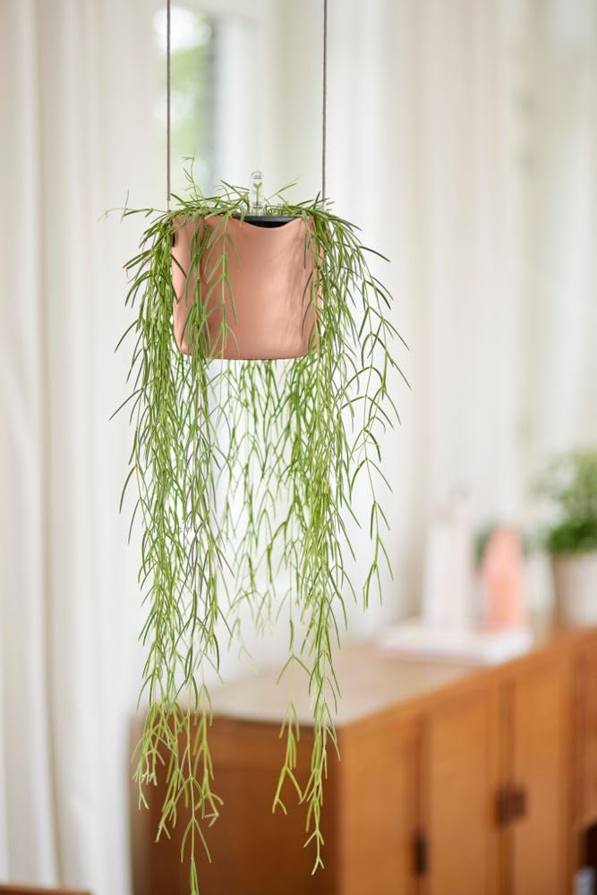 elho-b-for-swing-18-cm-blumentopf-mit-h-ngekordel-zartrosa-100-recyclingkunststo image 6