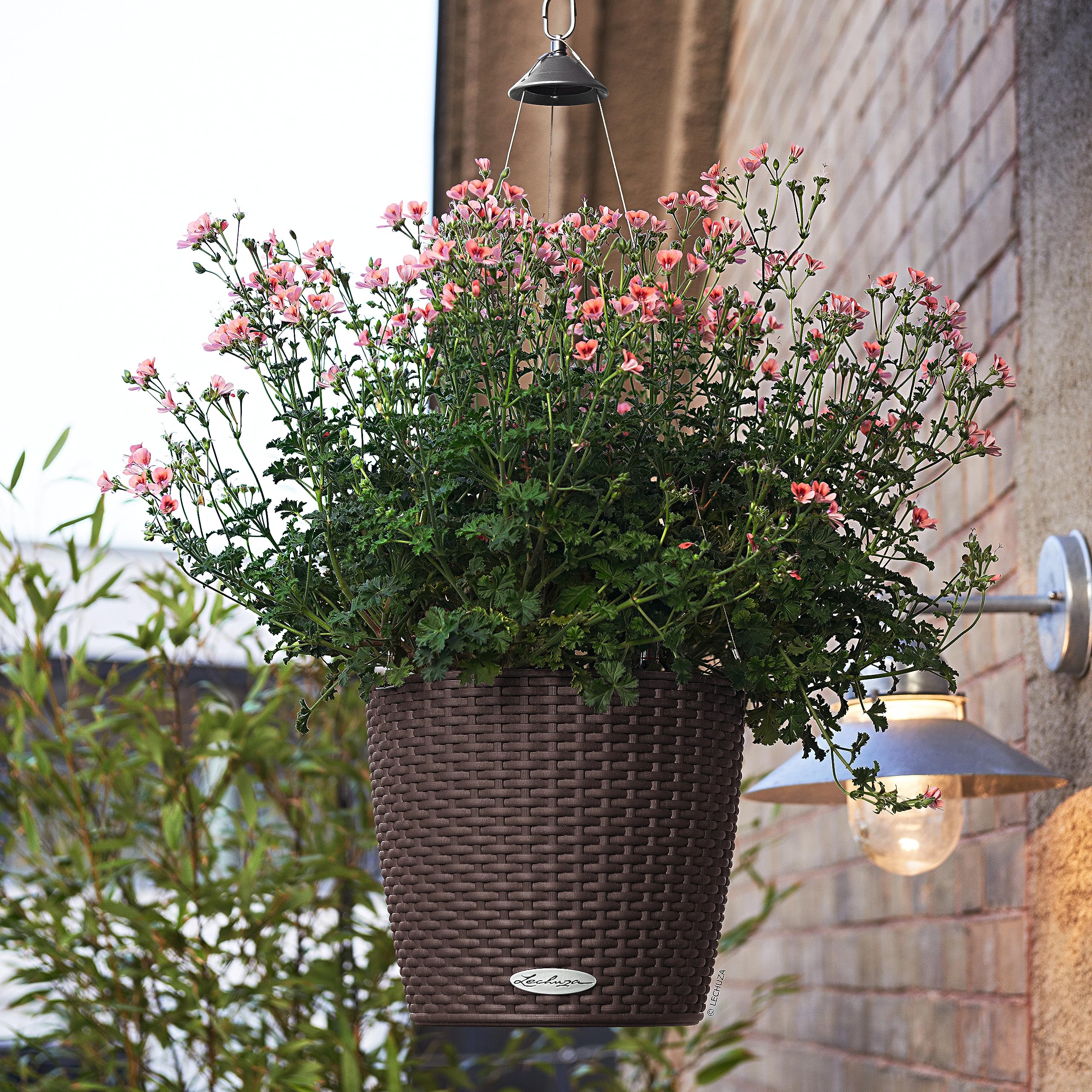 lechuza-nido-cottage-28-h-ngeampel-mit-bew-sserungssystem-27-x-23-cm-mokka image 8