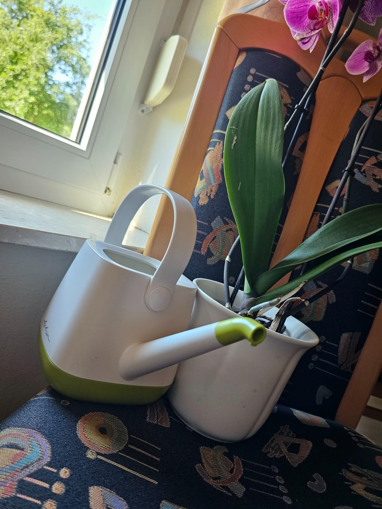 Meine Enkelin gießt jetzt mit