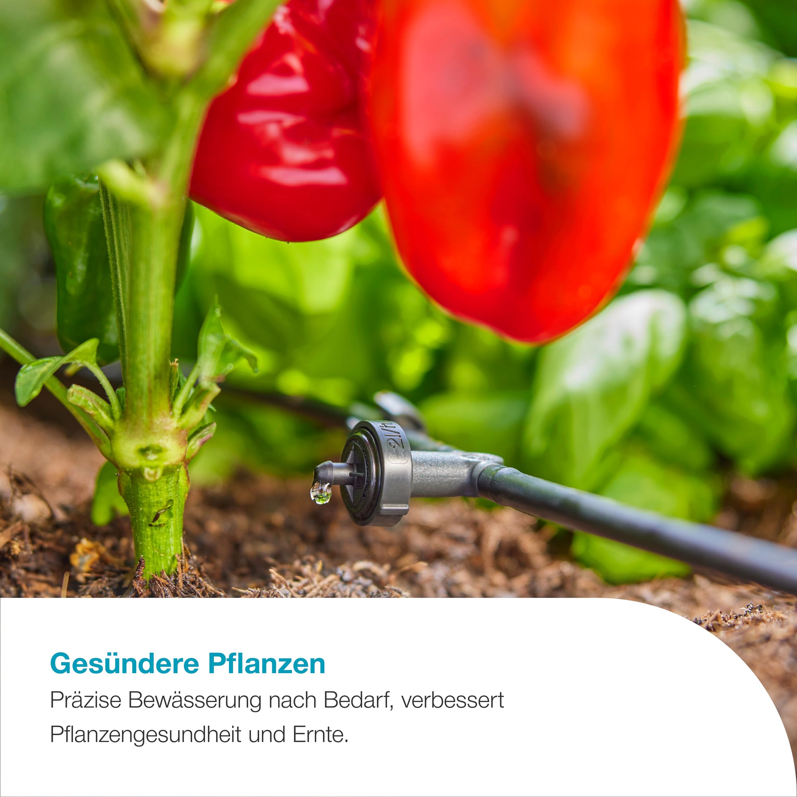gardena-aquabloom-l-set-autarkes-solar-bew-sserungssystem-f-r-bis-zu-30-pflanzen image 5