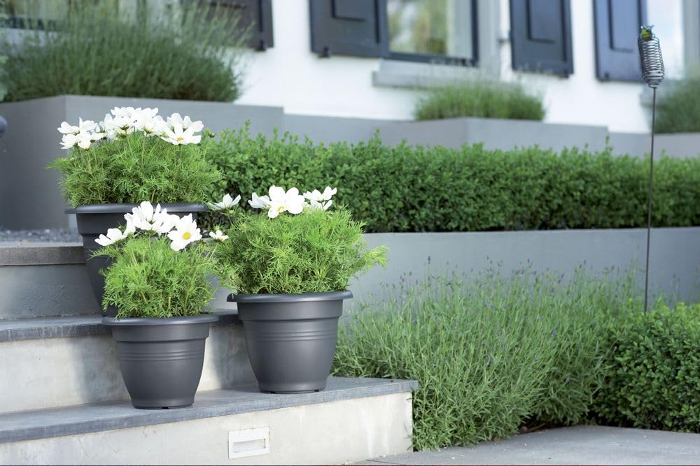 elho-green-basics-campana-30-blumentopf-29-2-x-h-23-cm-lebhaft-schwarz-f-r-drau- image 5