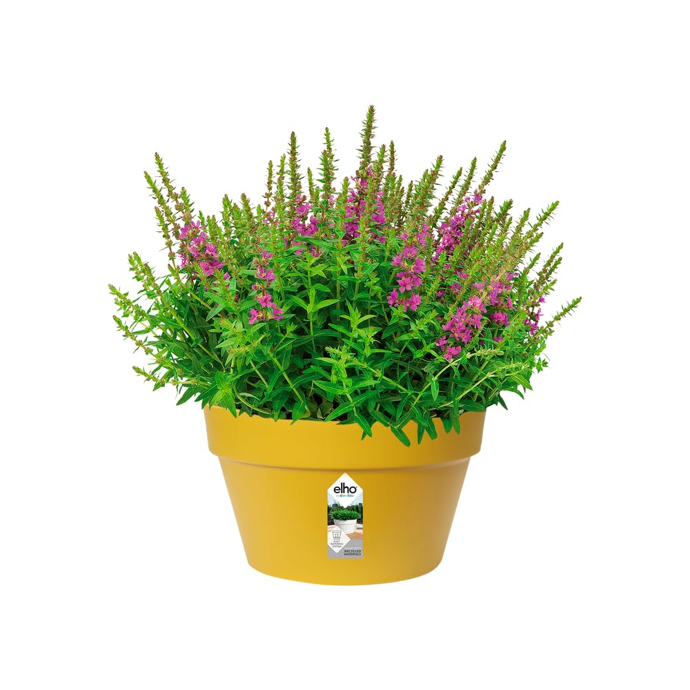 elho-loft-urban-schale-35-cm-ocker image 3
