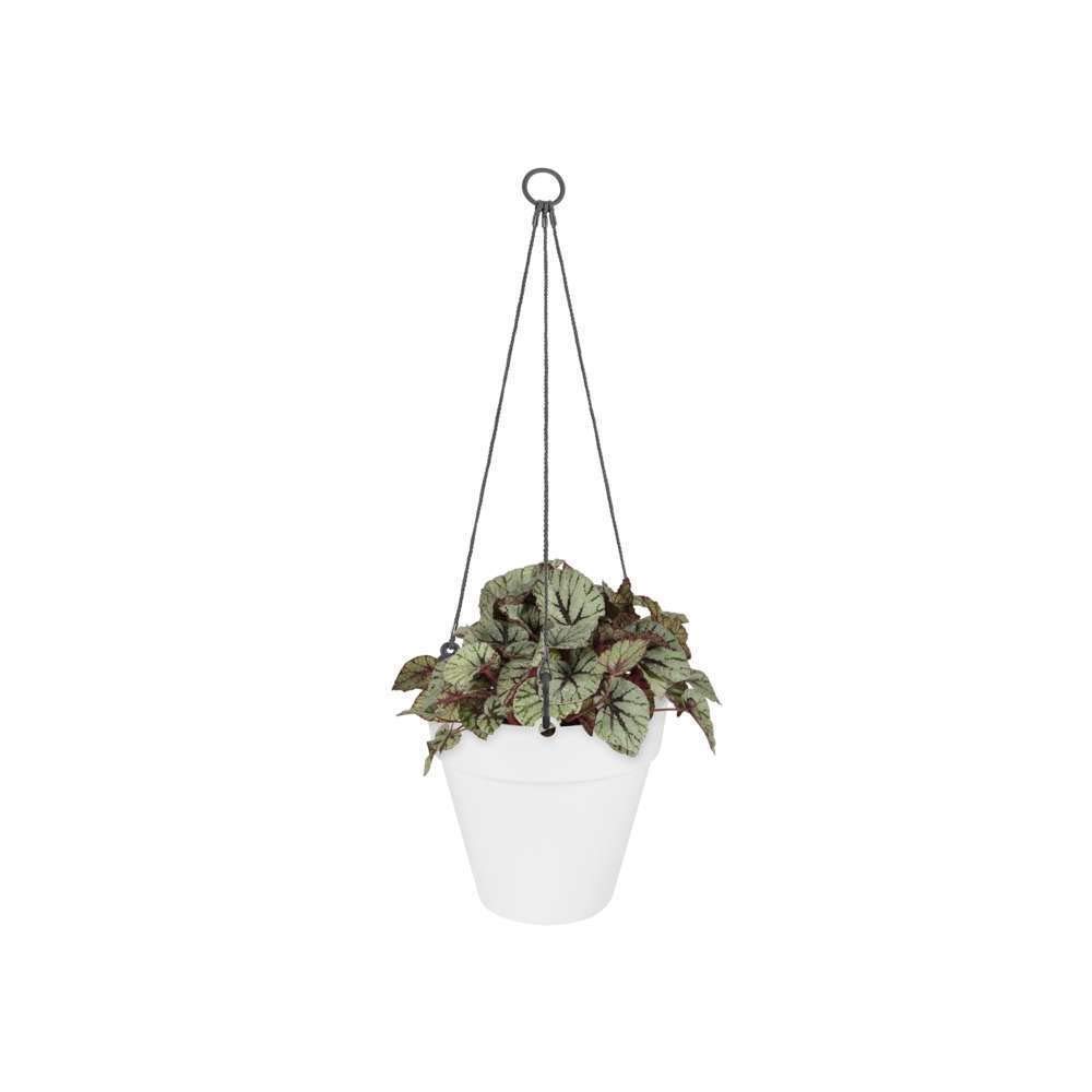 elho-loft-urban-hanging-basket-20-runde-h-ngeampel-19-6-x-h-18-7-cm-wei-mit-wass image 3