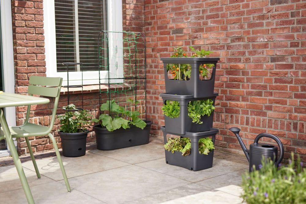 elho-green-basics-stack-grow-50-pflanzgef-schwarz-50-9-x-h-35-7-cm image 7