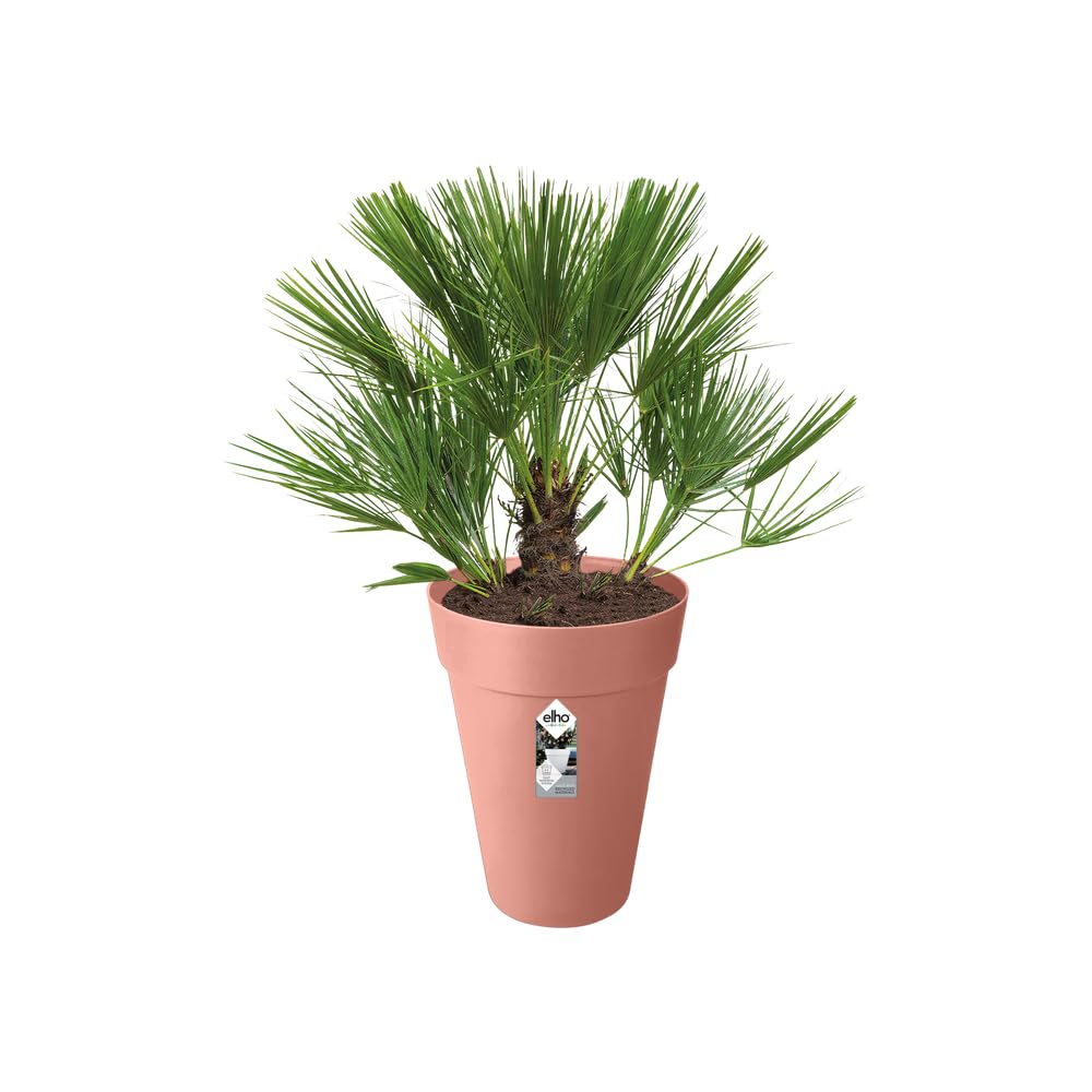 elho-loft-urban-rund-hoch-28-cm-blumentopf-27-5-x-h-35-8-cm-in-zartrosa-f-r-au-e image 3