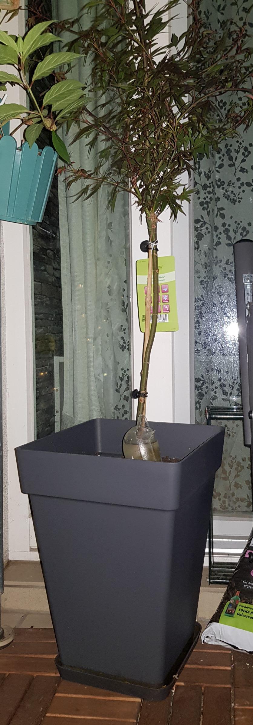 Schick und praktisch
