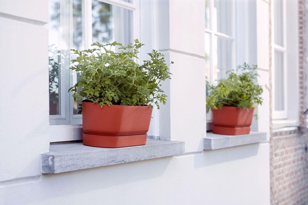 elho-greenville-trough-long-bertopf-klinkerrot-20-cm image 6