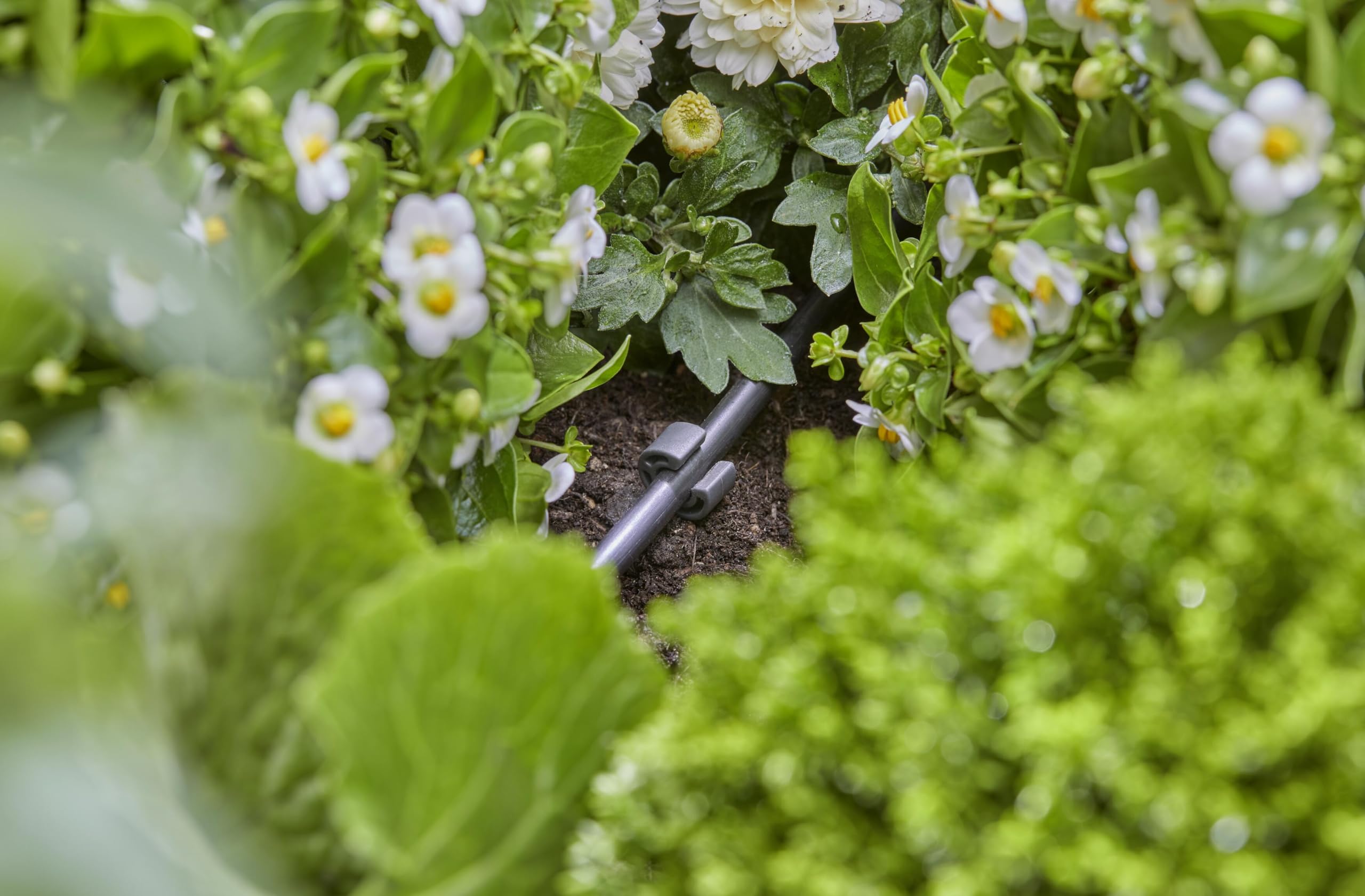 gardena-micro-drip-system-rohrhalter-4-6-mm-15-st-ck-13218-20 image 3