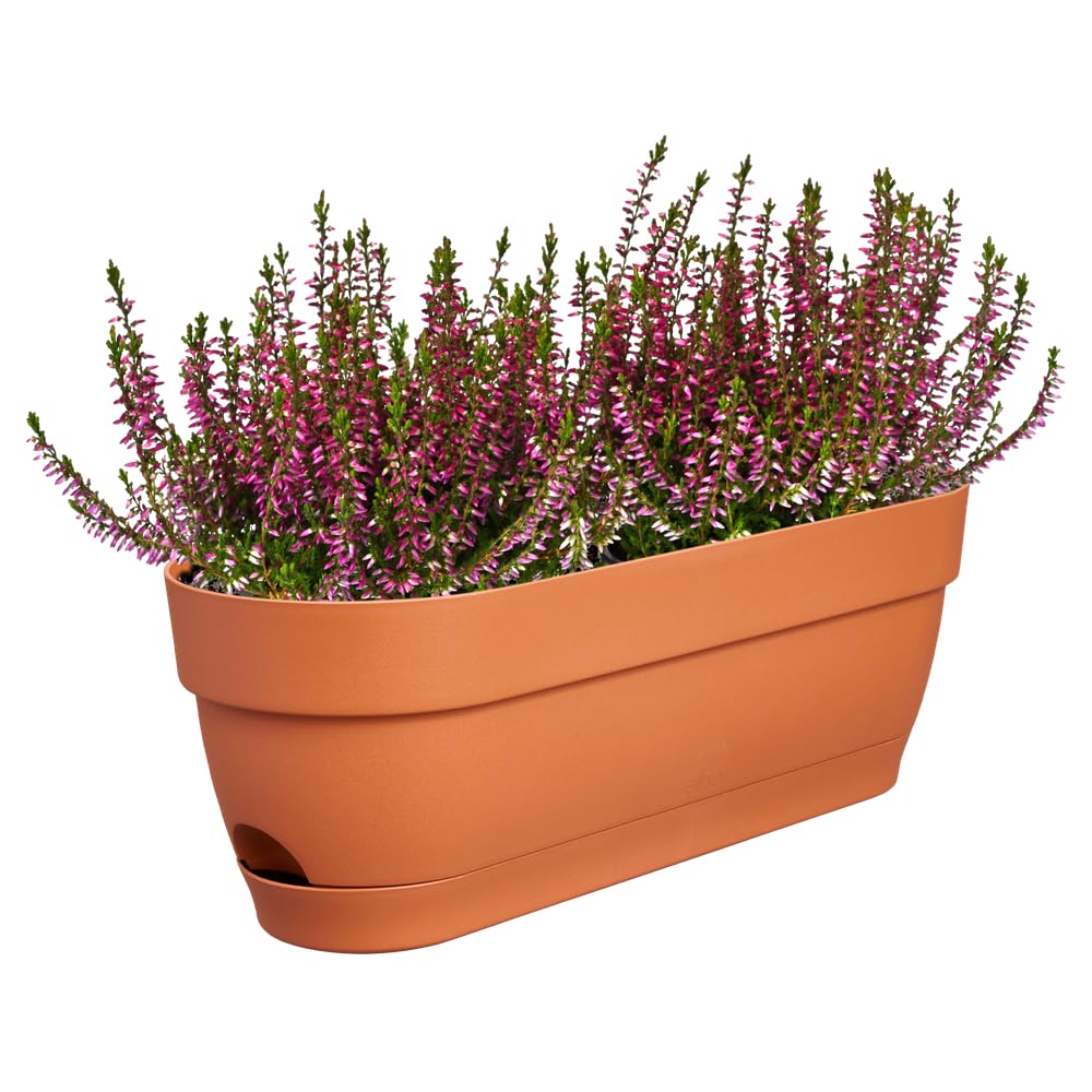 elho-vibia-campana-balkonkasten-50-cm-terra-l-18-2-x-b-49-x-h-17-cm image 7