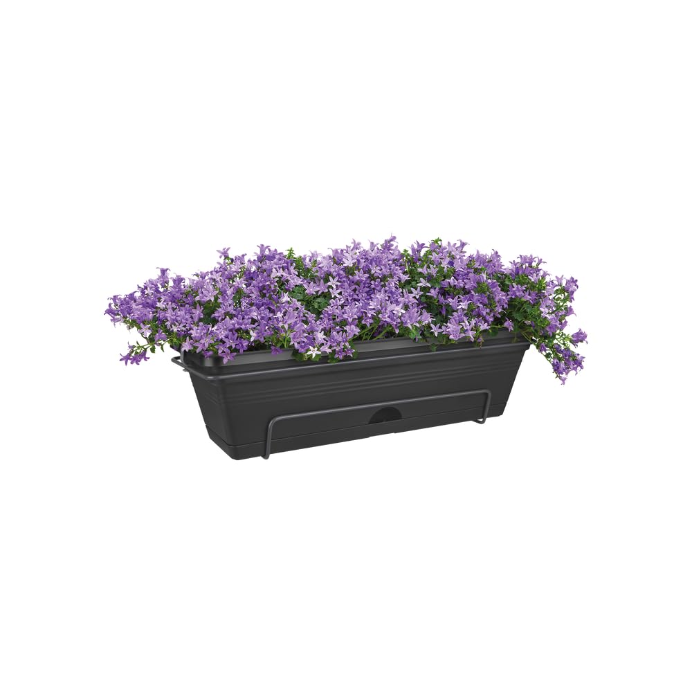 elho-green-basics-balkonkasten-allin-1-50-cm-living-schwarz image 7