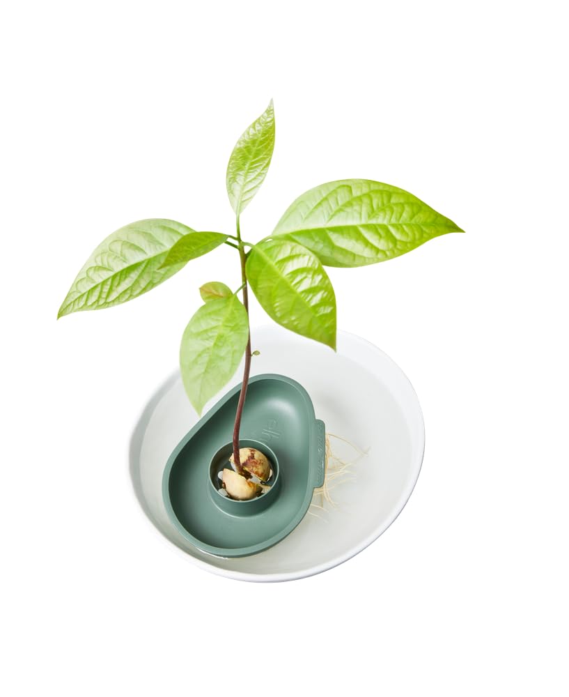 elho-amazing-avocado-floater-leaf-green-l-11-x-b-14-8-x-h-2-7-cm image 4