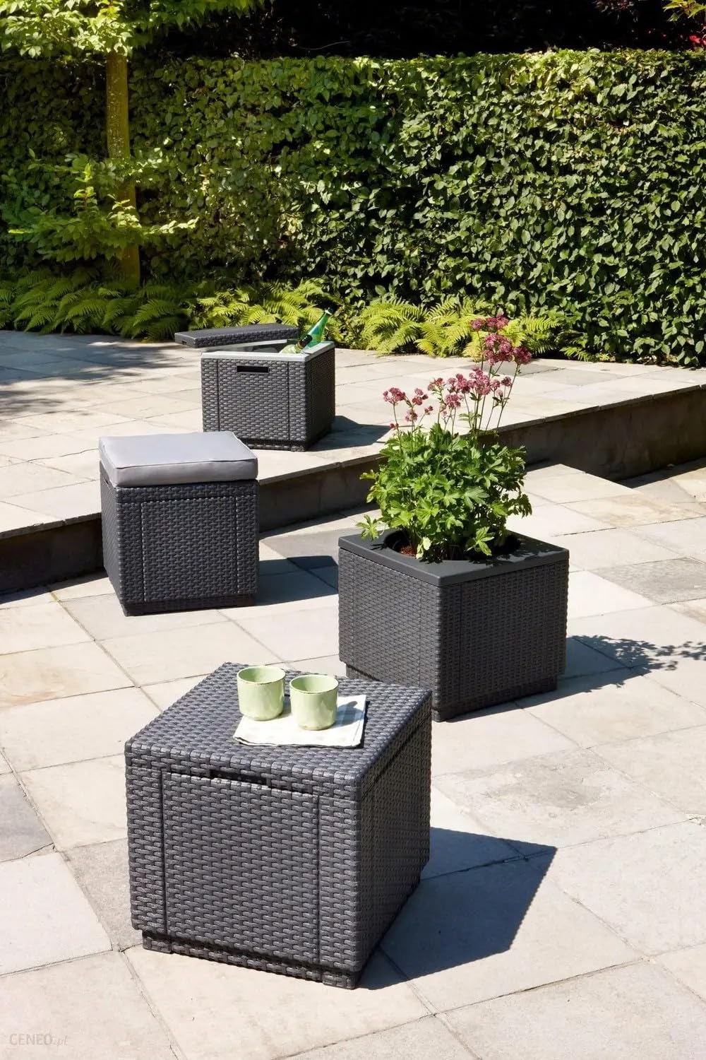 allibert-cube-garten-hocker-grau-mit-kissen-60-l-stauraum image 2