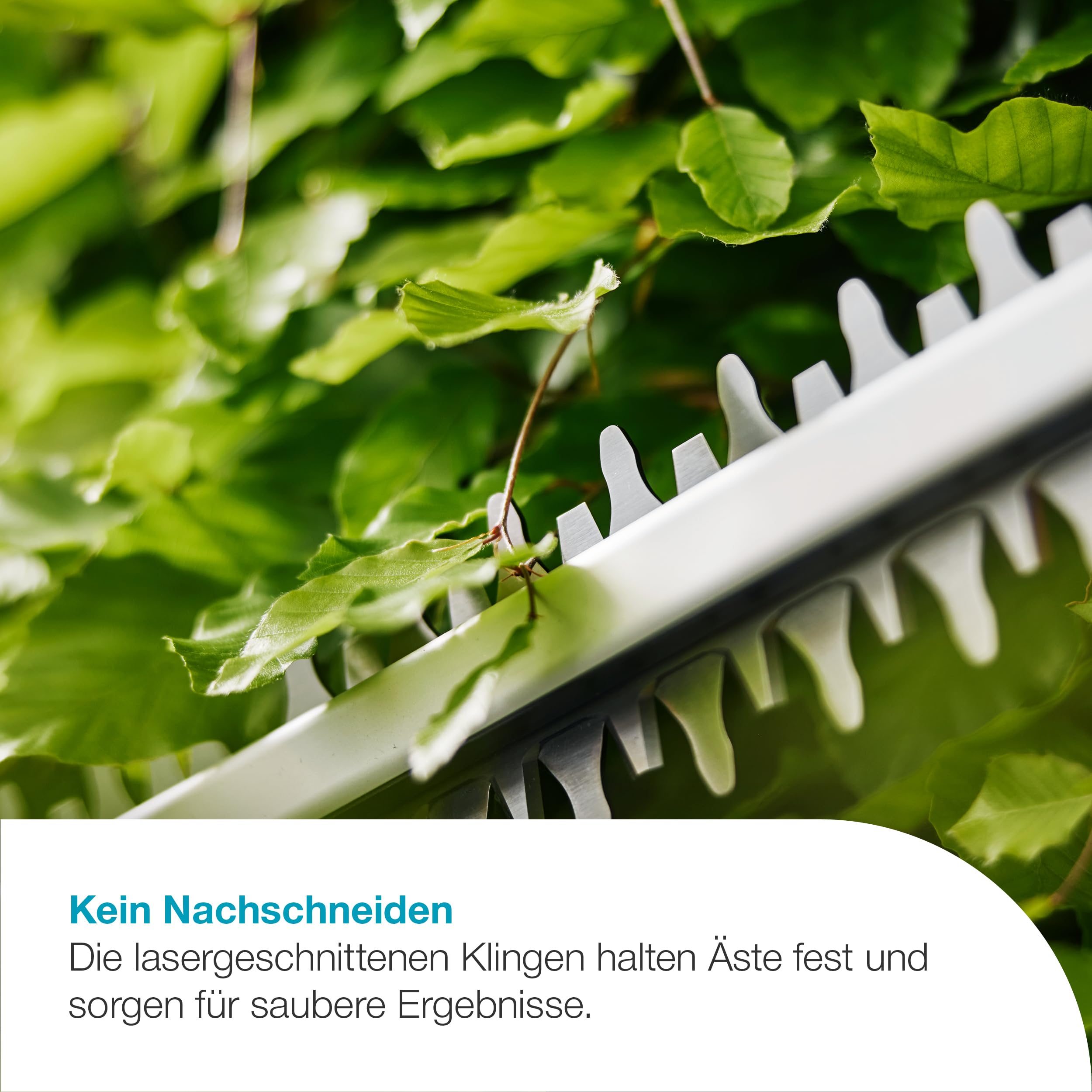 gardena-akku-heckenschere-easycut-55-18v-p4a-ready-to-use-set-14735-20 image 2