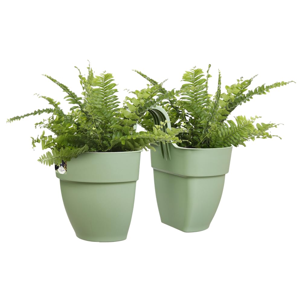 elho-vibia-campana-flower-twin-21cm-balkonkasten-pistazien-gr-n-38-4-x-20-5-x-26 image 3