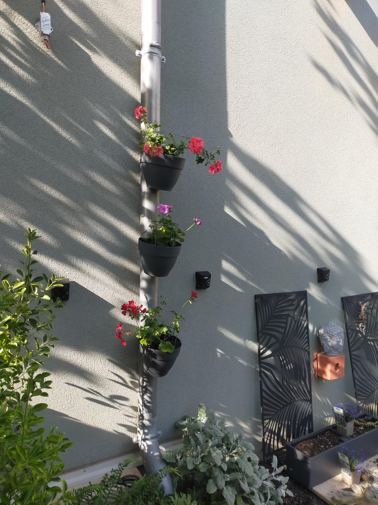 Kräutergarten am Fallrohr