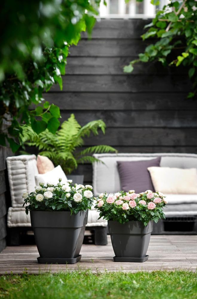 elho-vibia-campana-quadrat-37-cm-blumentopf-anthracite image 6