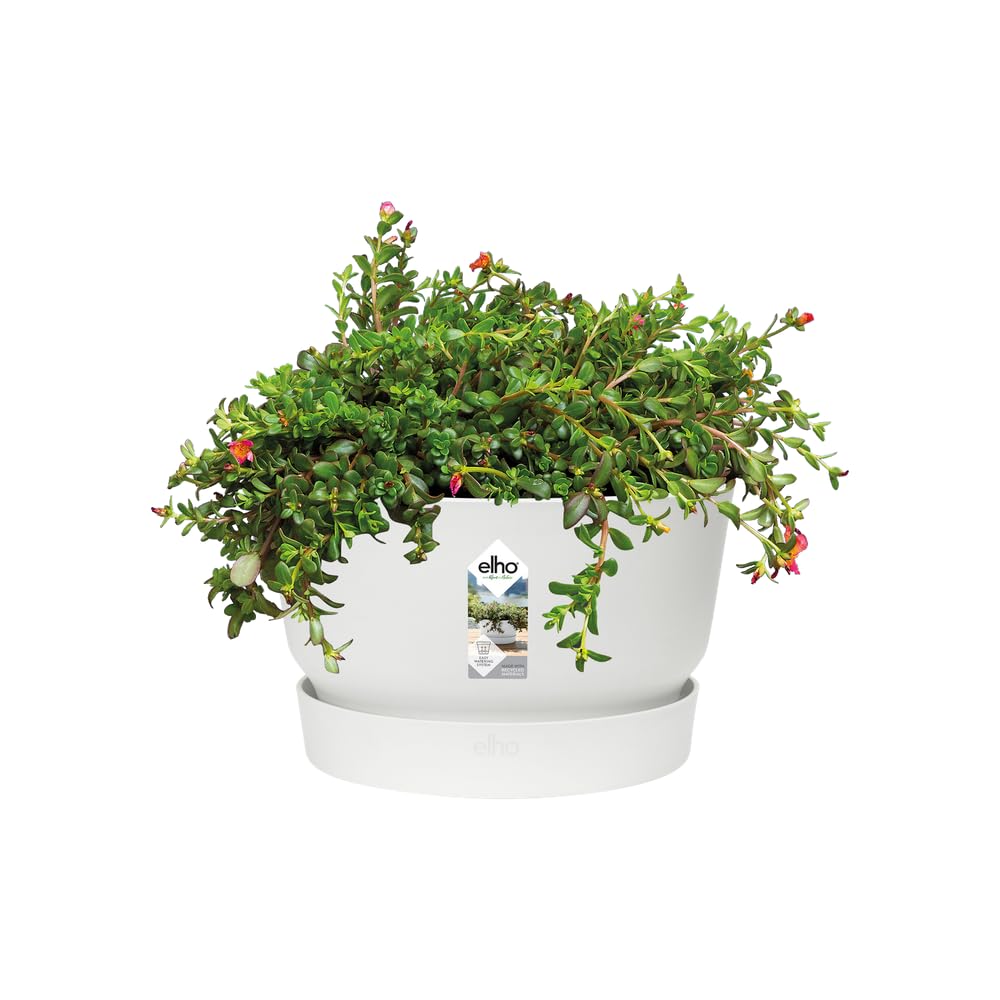 elho-greenville-schale-33cm-blumentopf-wei-32-5-x-h-19-4-cm-mit-untersetzer image 3
