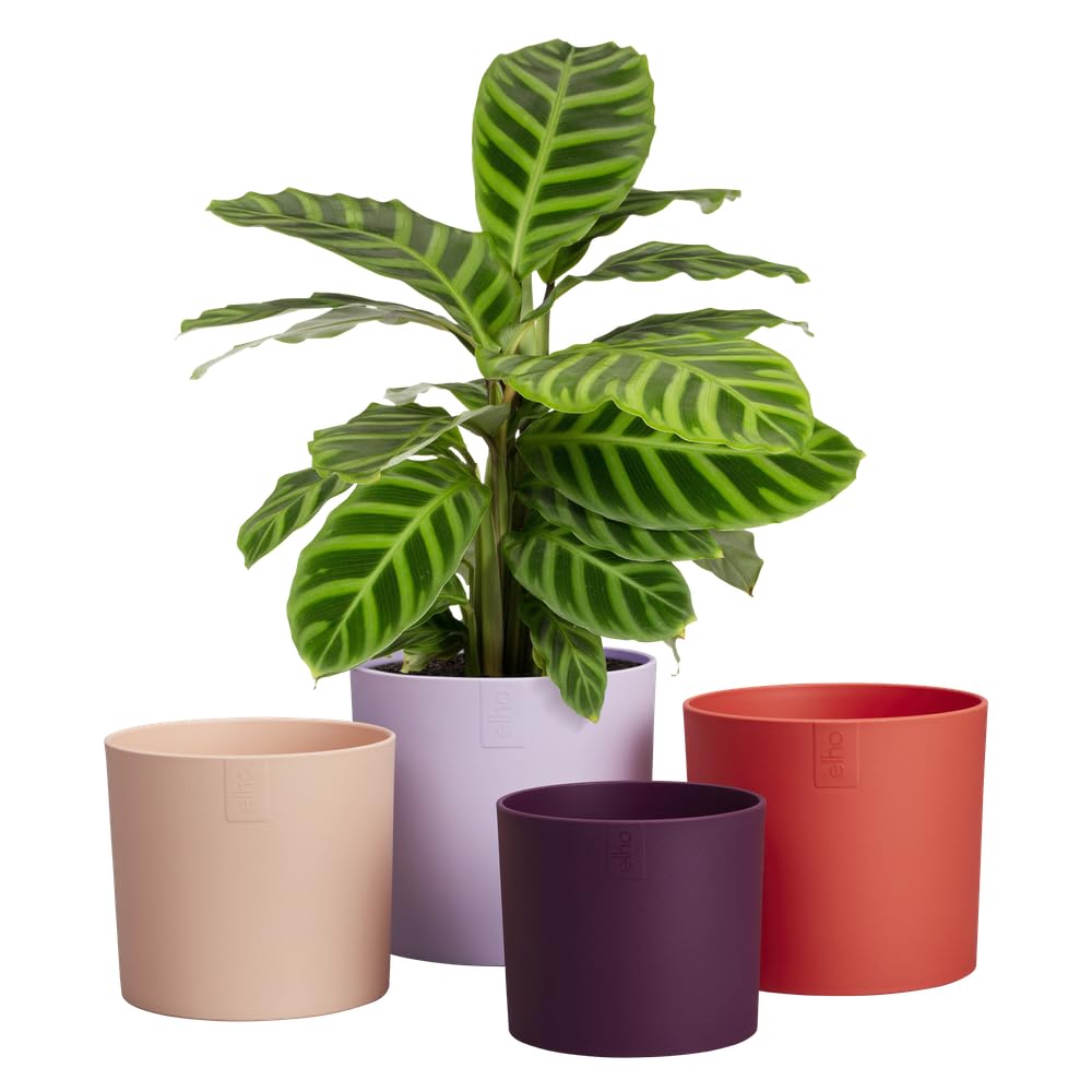 elho-lex-pott-set-15-cm-blumentopf-soft-lilac-14-8-x-h-13-6-cm-4-teilig-f-r-inne image 3
