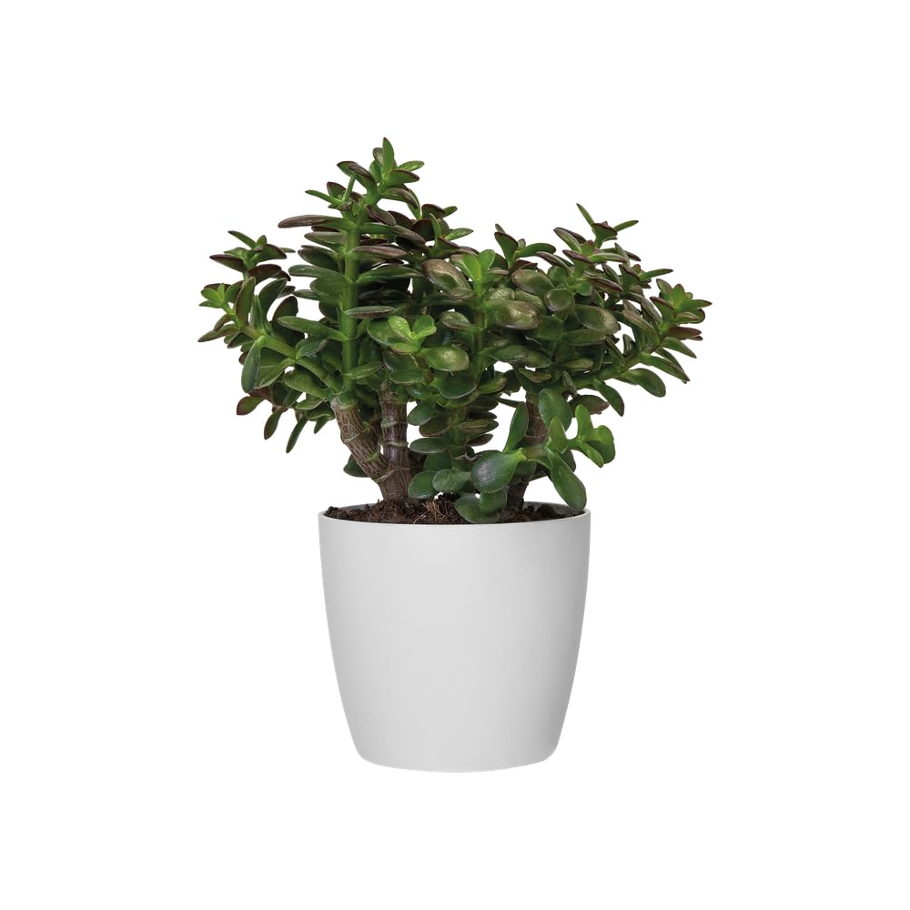 elho-brussels-rund-14-blumentopf-f-r-innen-13-5-x-h-12-6-cm-braun-cookie-braun image 3