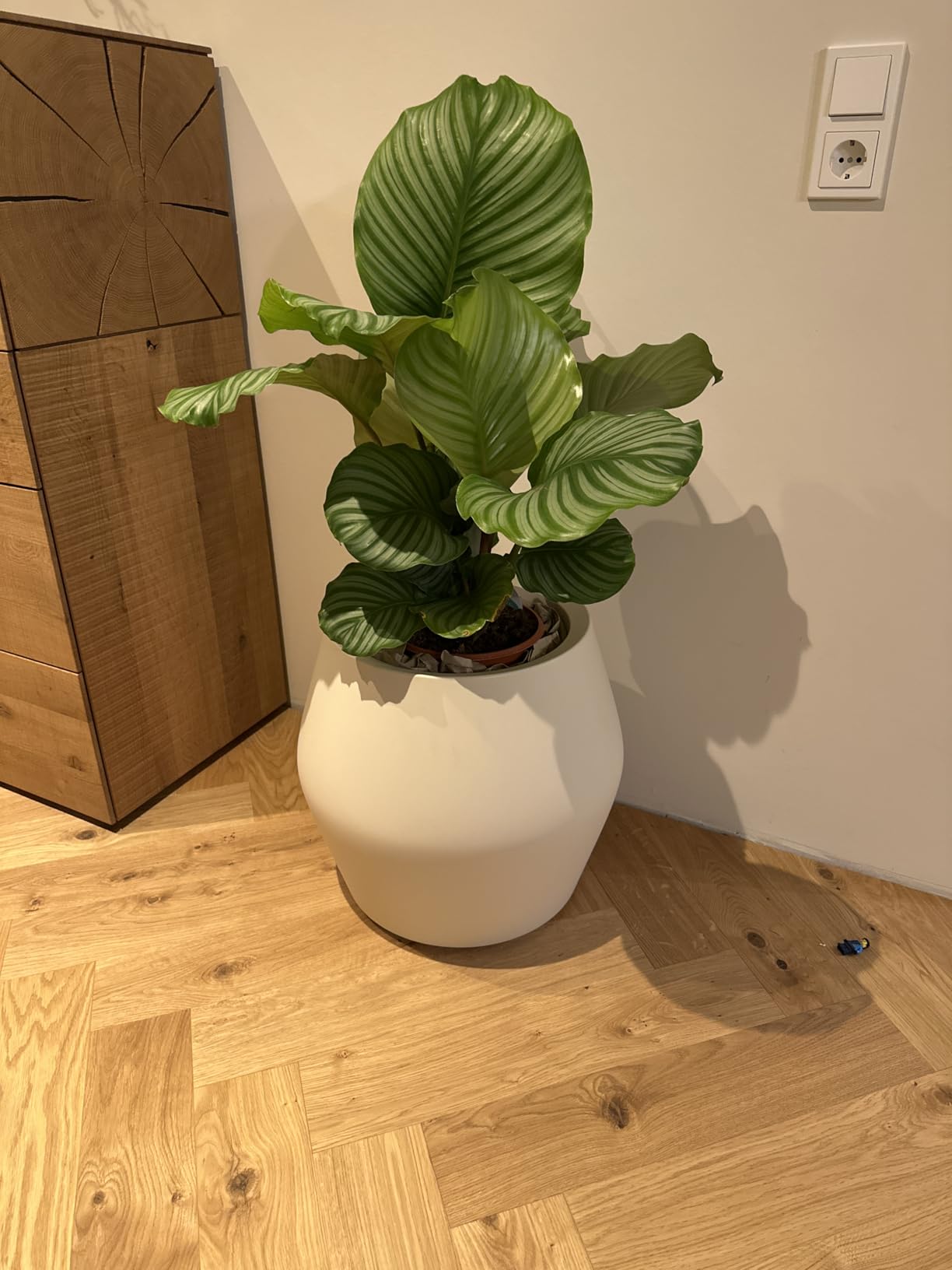 Designerstück für mein Wohnzimmer