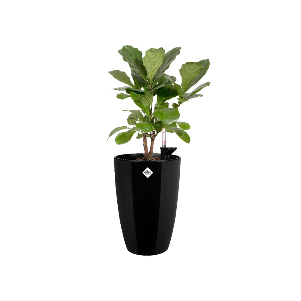 elho-brussels-diamond-rund-hoch-27-blumentopf-metallic-schwarz image 7